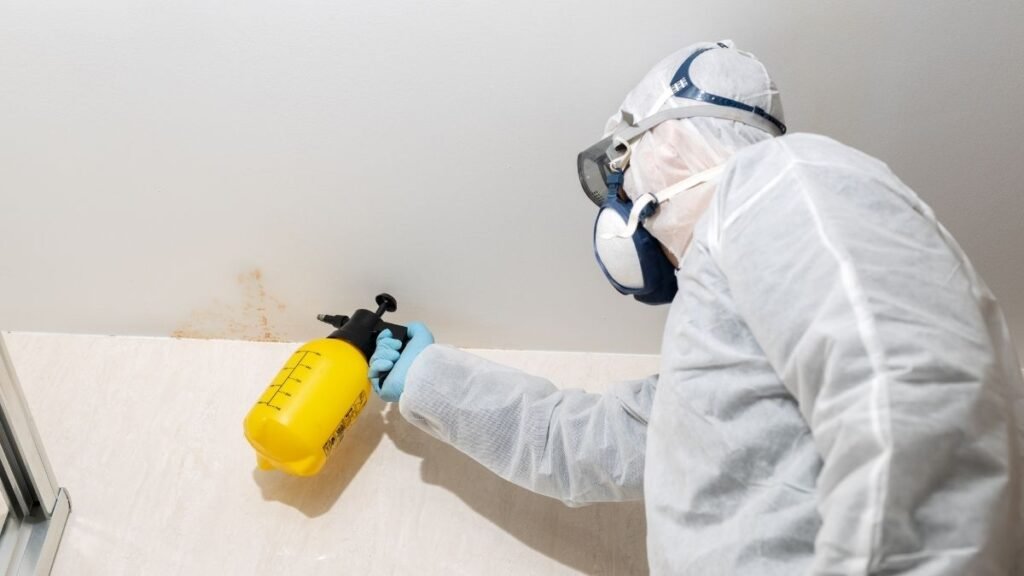 warum ein schimmelexperte hannover bei schimmelproblemen unverzichtbar ist