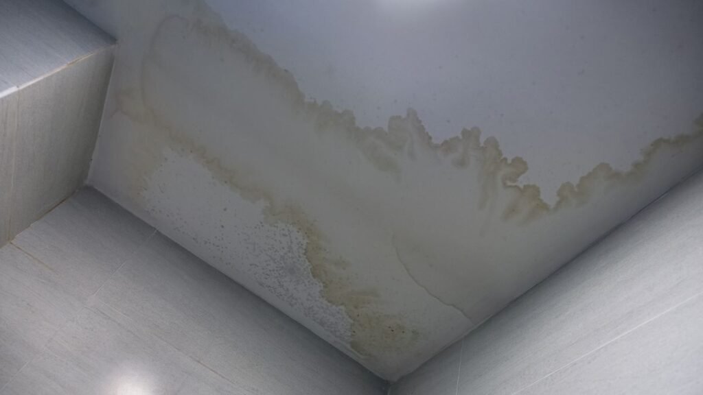 sanierung schimmel wand – ihr experte in hannover hilft sofort!