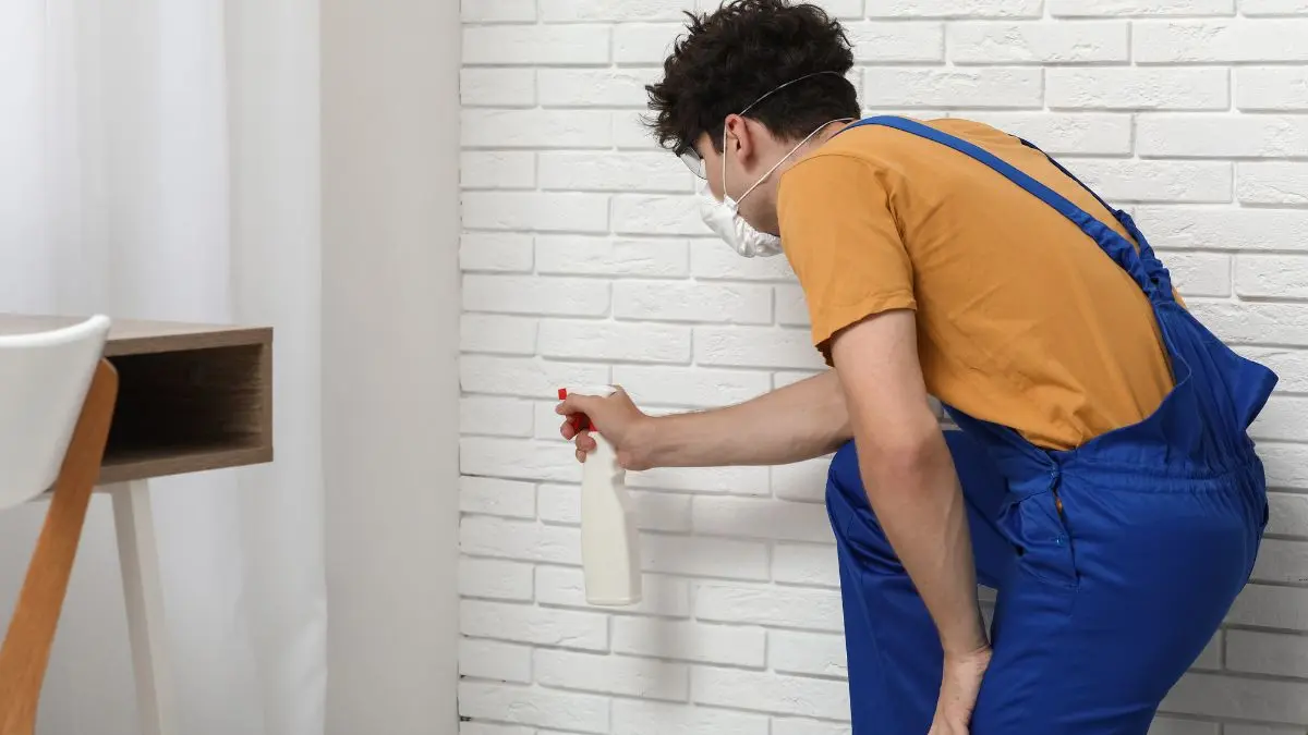 sanierung schimmel nach wasserschaden