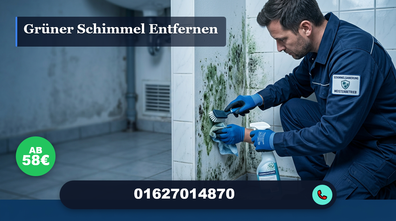 grüner schimmel entfernen