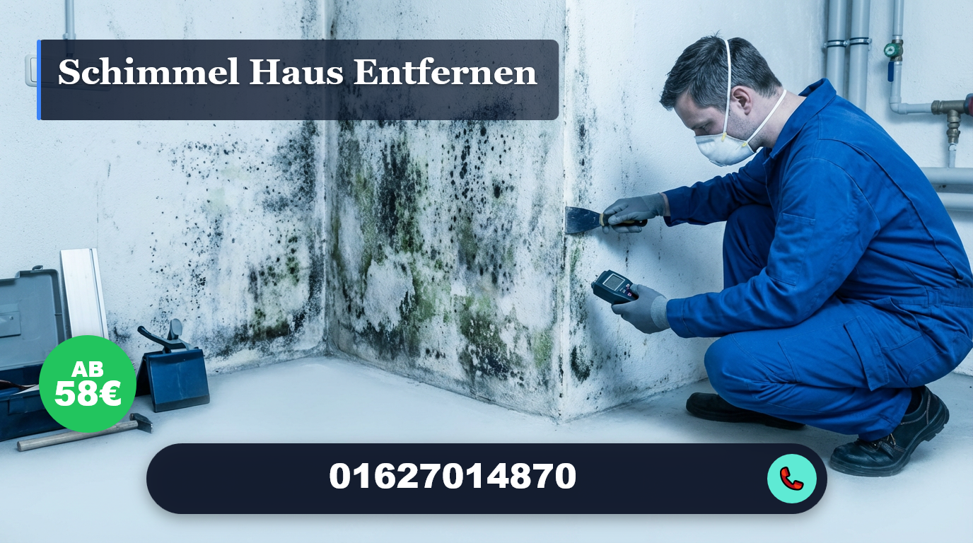 schimmel haus entfernen
