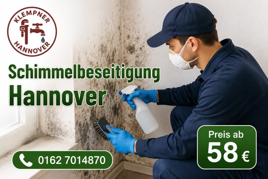 Schimmelbefall an einer Wand vor der fachgerechten Beseitigung