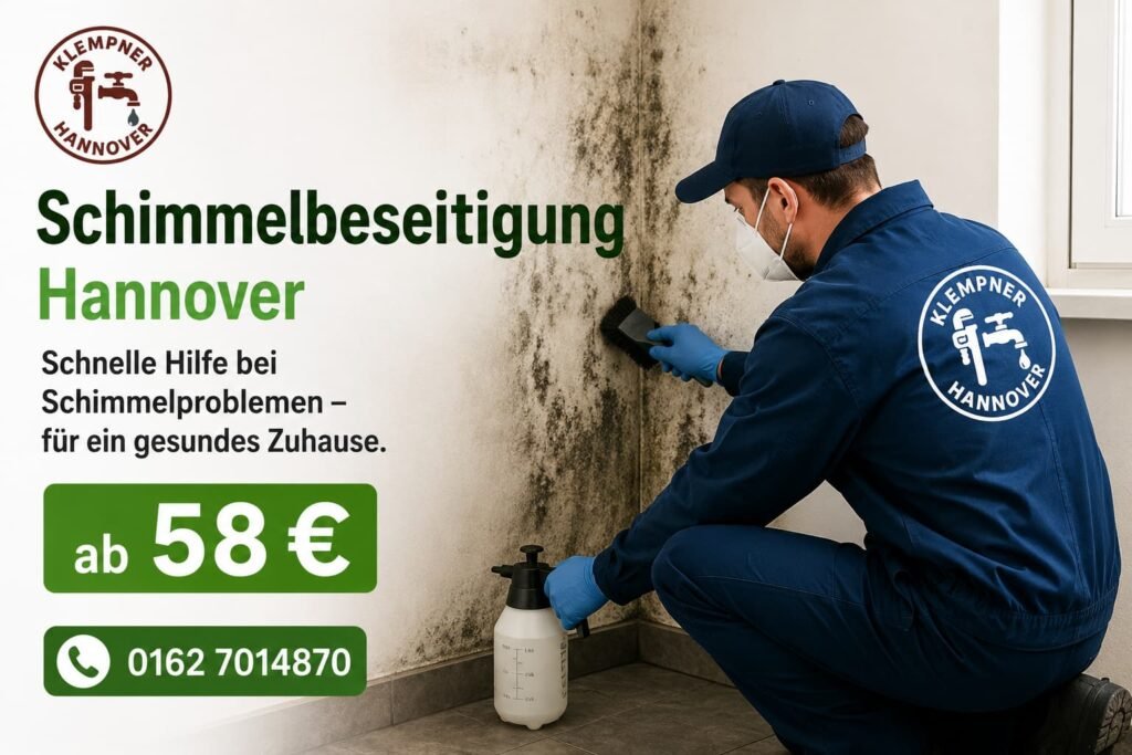 Fachgerechte Behandlung einer schimmelbelasteten Wand in Hannover