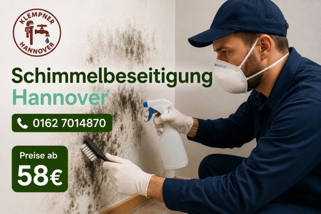 Schimmelbeseitigung Hannover