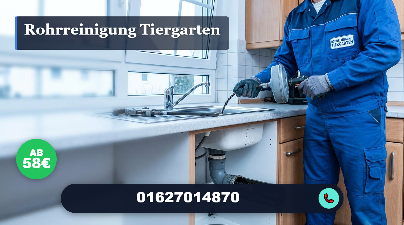 rohrreinigung tiergarten